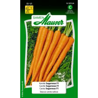 Karotte Sugarsnax F1  - Daucus carota sativus - Samen