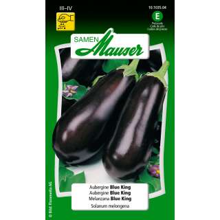 Aubergine Blue King - Solanum melongena - graines
