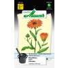 Ringelblume - Calendula officinalis - Samen