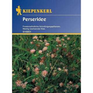 Gründüngung Perserklee Maral - Trifolium resupinatum - Samen