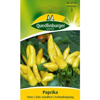 Paprika Feher - Capsicum annuum - Samen