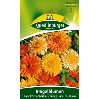 Ringelblume Pazifik Schönheit - Calendula officinalis - Samen