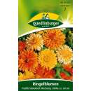 Ringelblume Pazifik Schönheit - Calendula officinalis - Samen