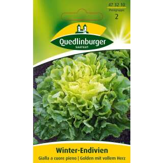 Winter-Endivien Gialla A Couore Pieno - Cichorium endivia...