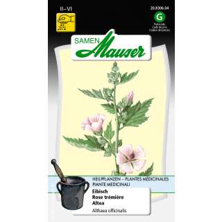 Eibisch - Althaea officinalis - Samen