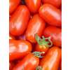 Tomate Sardegna - Lycopersicon esculentum  - Demeter biologische Samen