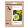 Speise-Chrysantheme gelb, weiss - Chrysanthemum coronarium  - Demeter biologische Samen