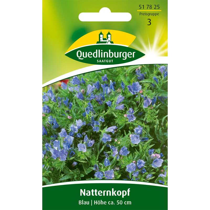 Natternkopf Blau - Echium plantagineum - Samen