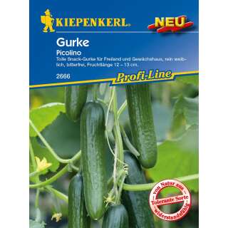 Gurke Picolino F1 PROFILINE - Cucumis sativus - Samen