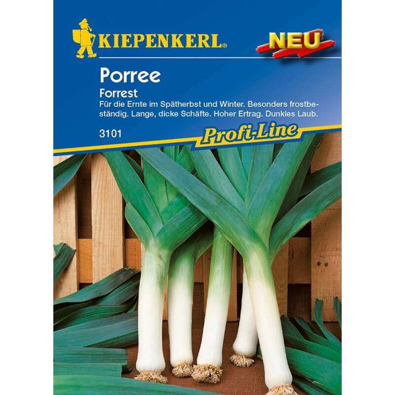 Lauch, Porree Forrest PROFILINE - Allium porrum - Samen