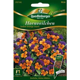 Veilchen, Hornveilchen Sorbet Orange Duett - Viola cornuta - Samen