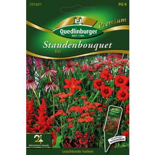 Staudenbouquet, rot - Samen