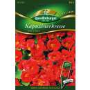 Kapuzinerkresse Cherry Rose - Tropaeolum majus nanum- Samen