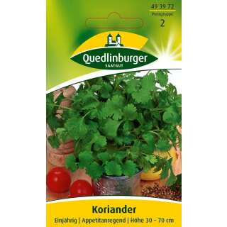 Koriander - Coriandrum sativum - Samen