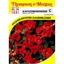 Kapuzinerkresse Cherry Rose Jewel - Tropaeolum majus - Samen