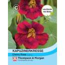 Kapuzinerkresse Cherry Rose Jewel - Tropaeolum majus - Samen