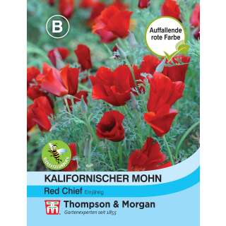 Kalifornischer Mohn Red Chief - Eschscholzia californica - Samen