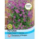 Petunie Purple Tower F1 - Petunia hybrida - Samen