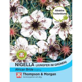 Nigella, Schwarzkümmel African Bride - Nigella papillosa - Samen