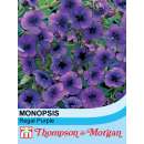 Monopsis Regal Purple - Monopsis debilis - Samen