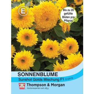 Sonnenblume Sunshot Golds Mischung F1 - Helianthus annuus - Samen