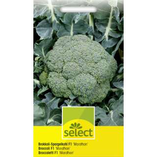 Broccoli-Spargelkohl Marathon F1 - Brassica oleracea var....