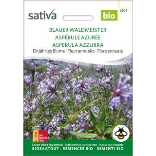 Blauer Waldmeister - Asperula orientalis -- BIOSAMEN
