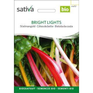 Krautstiel, Stielmangold Bright Lights - Beta vulgaris var. flavescens  - BIOSAMEN