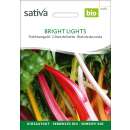 Krautstiel, Stielmangold Bright Lights - Beta vulgaris var. flavescens  - BIOSAMEN