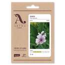 Eibisch, rosa - Althaea officinalis - Demeter biologische...