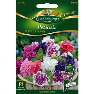 Petunie Gefüllte Mischung - Petunia hybrida - Samen