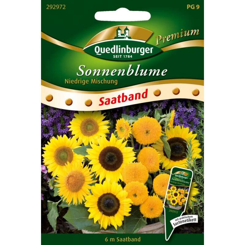 Sonnenblume Niedrige Mischung SAATBAND - Helianthus annuus - Samen