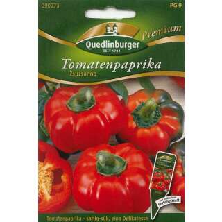 Tomatenpaprika Zsuzsanna - Capsicum annuum L.