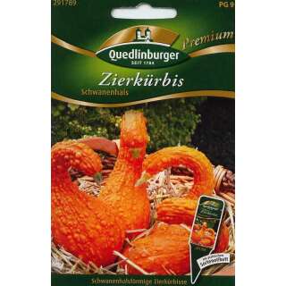 Zierkürbis Schwanenhals - Cucurbita pepo - Samen