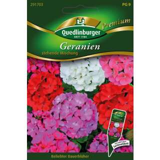 Geranien, stehende Mischung - Pelargonium zonale - Samen