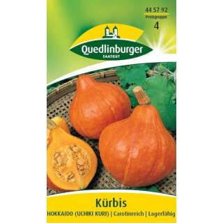 Kürbis, Hokkaido Uchiki Kuri - Cucurbita maxima - Samen