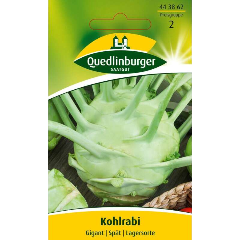 Kohlrabi Gigant - Brassica oleracea acephala gongylodes - Samen