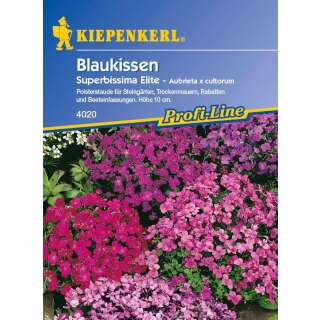 Blaukissen Superbissima Elite PROFILINE - Aubrieta x cultorum - Samen