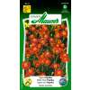 Tagetes, Studentenblume Paprika - Tagetes tenuifolia - Samen