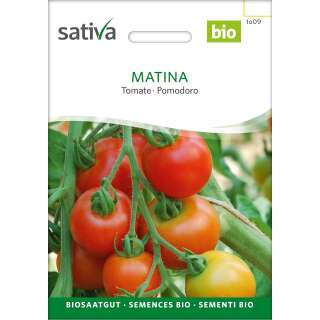 Tomate Matina - Lycopersicon lycopersicum - Tomatensamen