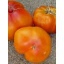 Tomate Ananas - Lycopersicon esculentum  - Demeter...