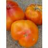 Tomate Ananas - Lycopersicon esculentum  - Demeter biologische Samen
