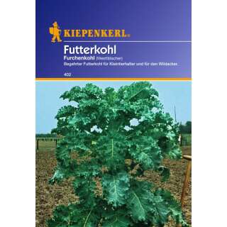 Futterkohl Westfälischer Furchenkohl - Brassica oleracea var. viridis - Samen