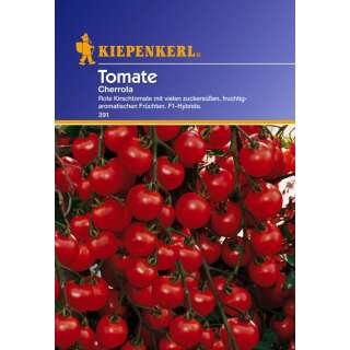 Tomate, Cherrola F1 Hybrid - Lycopersicon esculentum -...