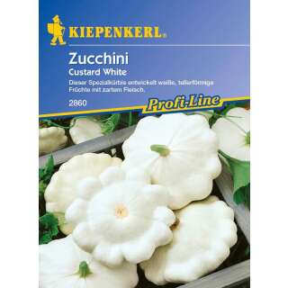 Patisson Custard White PROFILINE - Cucurbita pepo - Samen