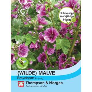 Malve, wilde Brave Heart - Malva sylvestris - Samen