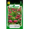 Blumenmischung Blütensymphonie Romantischer Garten - Diverse species - Samen