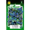 Phacelia Blaue Glocke  Phacelia campanularia - Samen
