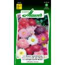 Aster, Mausers Spezialmischung - Callistephus chinensis -...