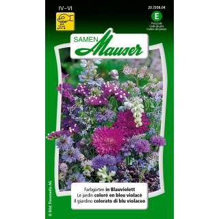 Blumenmischung Farbgarten in Blauviolett - Diverse species - Samen